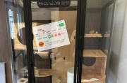 摩羯座适合养什么宠物？（摩羯座喜欢独立、低维护的宠物）