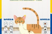 养猫须知（宠物猫如何进行定期驱虫，养猫人必看！）