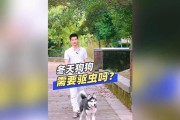 狗狗健康养护之重要性及体内驱虫的必要性（保护我们的可爱伙伴，从体内驱虫开始）