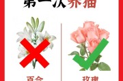 养猫咪进行化验的重要性（了解猫咪健康状况的必要手段）