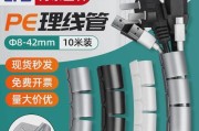 小猫爱咬电线，你知道为什么吗？（探究小猫喜欢咬哪些电线及如何预防）