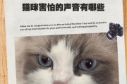 猫咪害怕的10种表现及应对方法（揭秘猫咪害怕的迹象，让你更了解你的毛孩）
