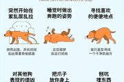 狗狗交配分开需谨慎（了解交配的重要性与后果）