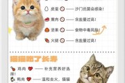 猫咪能不能吃盐？小心过量的危害（了解猫咪食盐摄入的必要性与限制，保护它们的健康）