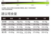 巨型金吉拉兔的饲养方法（科学养殖，健康成长）