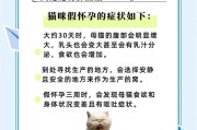 家养杂猫怀孕多久生小猫？（探究杂猫妊娠周期及分娩时间。）