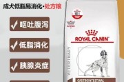 哪些狗品种容易得胰腺炎？（探索狗品种与胰腺炎的关联）
