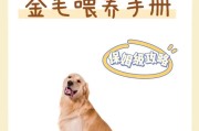 金毛犬的科学喂养方法（满足营养需求，让金毛更健康快乐）