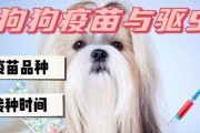 幼犬的疫苗接种时间及方法（了解幼犬疫苗接种时机和方法，保护狗狗的健康）