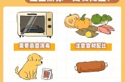 狗狗生产后的注意事项（如何照顾产后的母狗及新生幼犬）