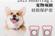 狗狗染毛，选择什么颜色最适合？（探索狗狗染毛的流行趋势及最受欢迎的颜色选择）