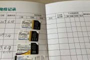 小狗疫苗多少钱？解析宠物疫苗费用与必要性（揭开宠物打疫苗的费用谜团，让您为爱宠做出明智决策）