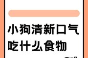 两个月大的小狗如何正确喂养（科学饲养让你的小狗健康快乐）