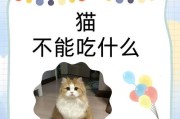 猫子喜欢吃什么？（揭秘猫子的饮食习惯）