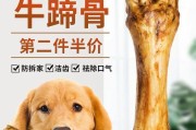 幼犬的零食选择（适合幼犬的健康零食和）
