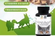 治疗狗狗心脏病的有效药物（探索最佳治疗CHD的药物及其关键作用）