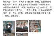幼犬吃干狗粮的注意事项（健康成长的关键是选择合适的狗粮）