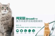 猫咪体外驱虫的必要性（掌握正确时间，预防宠物疾病）