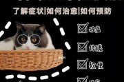 猫咪白细胞少，如何保障猫咪健康？（了解猫咪白细胞少的原因和治疗方法，关注猫咪健康。）