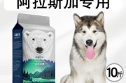 如何训练阿拉斯加犬吃狗粮（宠物犬适应新饮食的关键诀窍）