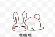 兔子眼中的讨厌之物（探寻兔子的好恶心理及习性）