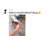 用科学方法让狗狗减少犯错（学会这3招，让狗狗不再犯错）