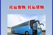 宠物汽车托运需要准备什么？（为您的爱宠安心出行提供全方位保障）