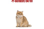 猫头变色（揭开猫头变色的奥秘，探讨喂食习惯的影响）