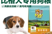大家都在吃什么狗粮？（揭秘宠物市场的狗粮消费趋势与选择）