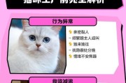 猫咪产仔后多久可以与人亲近？（了解猫咪产后行为及与人建立亲密关系的关键因素）