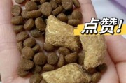 眼屎是什么，吃什么好？（保护眼睛健康，远离眼屎困扰）