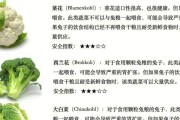 荷兰猪的食用优势及健康益处（探索荷兰猪肉的营养价值及食用建议）