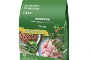 泰迪的健康饮食秘籍（探索泰迪宠物狗喜欢的蔬菜种类及养护建议）