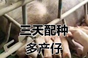 仔犬断奶时间的重要性（了解仔犬断奶的最佳时机和正确方法，）