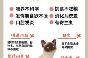 如何让瘦狗健康增胖（营养均衡饮食是关键，精心调理助其恢复健康）