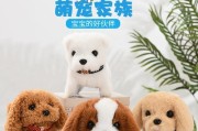 泰迪小狗的成长之路（从蹒跚学步到自如行走，泰迪小狗的成长历程）