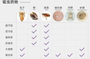 疥螨离开狗后的存活时间究竟有多久？（探索疥螨在离开宿主后的存活能力及其对人类的潜在危害）