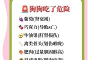 狗狗驱虫药的正确用法（多久能给狗狗吃饭？）