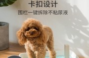 爱犬便便处理指南（让你的爱犬健康又环保的排便方式）