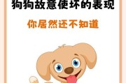 以巴仙吉与机智小猎犬的惊险冒险（机智小猎犬与仙吉探索未知世界）