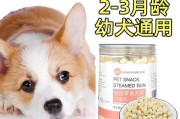 如何训练两个月大的狗狗？（培养基本礼仪和建立牢固的人犬关系）