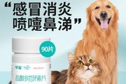 小狗药物选择指南（针对小狗的常用药物及使用建议）