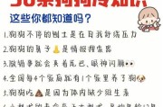 狗狗是否怕冷？如何分辨狗狗冷不冷？（了解狗狗对寒冷的感受，保护你的爱宠免受严寒侵害）