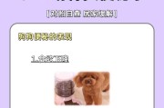 泰迪狗适宜食用的食物有哪些？（为你的泰迪提供健康的饮食，细心选择食材是关键）