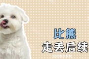 小狗出生后多久才会走路？（探索小狗学习行走的时间和过程）