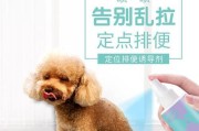 如何训练博美犬在户外上厕所？（宠物教育，让博美犬成为优秀的室内小伙伴。）