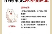 如何科学饲养比利时格罗安达牧羊犬（打造健康快乐的优秀宠物犬）