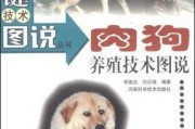 探讨狗种中生殖器最大的品种（揭秘生殖器最大品种的狗种及其特征）