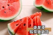 爱琴鱼的饲养指南（打造快乐的宠物生活）