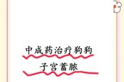 狗狗妇科病怎么治？（探讨合适的药物治疗方法）